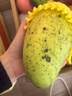 甜萌果蔬芒果金煌芒水仙芒果青皮大芒果甜心芒海南新鲜水果次日孕妇达送礼 钻石级｜单果350g+【手挑果】 5斤装【80%选择|超值推荐】净4.5斤 实拍图