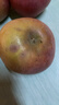 正宗山东红富士苹果丑苹果新鲜水果当季脆甜冰糖心苹果嘎啦果 净重3斤70mm+ 实拍图