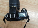 Nikon尼康D90 D3200 5600 D5500套机二手单反数码照相机高清旅游入门级d3100 套餐一摄影入门配置 99新尼康d90含18-105 实拍图
