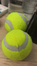 狗狗玩具球自嗨解闷神器宠物边牧金毛柯基耐咬球训练磨牙网球橡胶 绿色2个 全适用 实拍图