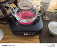 苏泊尔（SUPOR）电陶炉 煮茶器 不挑器具 烧水壶 泡茶煮茶炉 家用小型电磁炉 DTL02【不含茶壶】 可搭0.55L壶 实拍图