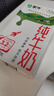 蒙牛全脂纯牛奶250ml*16盒 牛奶送礼盒装 电商定制 实拍图
