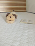 La Torretta乳胶床垫子 抗菌加厚记忆棉软垫被榻榻米床褥子 格林150*200cm5cm 实拍图