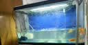 森森（SUNSUN）造浪泵鱼缸水族箱冲浪泵耀蓝造流吹粪便吹鱼便 磁铁款7W 流量调节 适合80-100cm鱼缸 实拍图