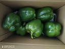 新鲜绿菜椒现摘山东圆椒青椒太空甜椒蔬菜灯笼椒生吃蔬菜沙拉 新鲜圆椒4斤 实拍图