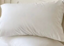 康尔馨希尔顿五星级酒店枕头 抗菌纯棉纤维枕成人家用单人枕头芯 白色 中高枕(74*48cm) 一对 实拍图
