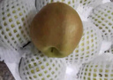 隰县玉露香梨 【顺丰现货】整箱香梨当季水果山西隰县小西天特产 孕妇水果送礼 12粒特大果（净重约9斤）90+mm 实拍图