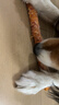 狗零食磨牙棒中大型犬狗零食鸡肉鸭肉双拼10寸磨牙棒280g*3囤货装 实拍图