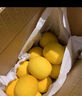 京鲜生 安岳黄柠檬 8粒 单果95g起 生鲜水果 实拍图