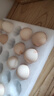 牧族可生食新鲜鸡蛋NSF认证无抗生素 可生食6枚 实拍图