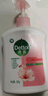 滴露（Dettol）洗手液滋润500g*6 抑菌洗手液家庭装大桶儿童消毒无酒精温和护手 实拍图
