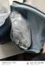 Teenie Weenie小熊A类全棉面料夹棉床笠床单全包床罩床垫保护套纯棉1.8x2米 实拍图