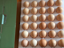 京鲜生 无抗保洁鲜鸡蛋30枚/盒 健康轻食 礼盒送礼 1.5kg/盒 源头直发 实拍图
