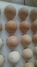 京鲜生柴鸡蛋30枚 3斤 无抗生素 谷物喂养鲜鸡蛋 源头直发 实拍图