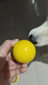 宜特（EETOYS）橡胶实心球黄色狗狗玩具磨牙耐咬有弹力互动训练宠物用品 实拍图