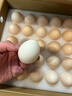 正大食品（CP）鲜鸡蛋礼盒装30枚 Plus联名款 3.18斤 源头直发 实拍图