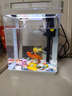 宠街坊小鱼缸一体缸自循环水族箱桌面客厅小型送礼生态鱼缸造景240 实拍图