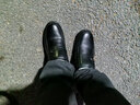 蜻蜓牌真皮羊毛棉皮鞋男冬季加绒保暖休闲高帮棉鞋防滑软底中老年爸爸鞋 黑色 41 实拍图