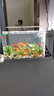 长锐侧滤鱼缸桌面办公室免换水生态水草超白水族箱 K500标配版【长51 宽22 高33】 实拍图