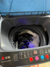 志高（CHIGO）全自动洗衣机 波轮宿舍迷你小型家用 洗烘一体 智能洗脱一体机 大容量 风干 【11Kg-主销特惠款-蓝光洗护-强动力电机】 实拍图