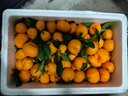 京鲜生 广西砂糖橘 净重4.5斤 单果35-45mm  生鲜礼盒 源头直发包邮 实拍图