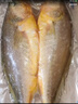 三都港 冷冻三去黄花鱼700g/2条装 大黄鱼 生鲜 鱼类 深海鱼 海鲜 实拍图