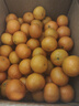 京鲜生 广西砂糖橘 净重8斤 单果45mm+ 生鲜水果 源头直发包邮 实拍图