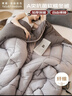雅鹿·自由自在被子秋冬季A类抗菌棉被芯保暖单双人宿舍学生5斤150x200cm 古典灰 实拍图