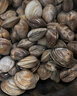 鲜京采 鲜活美贝 17-22粒/斤 净重5斤 蛤蜊花蛤生鲜海鲜 源头直发 实拍图