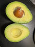 鲜青录秘鲁进口牛油果鳄梨奶油酷热带新鲜宝宝孕妇水果 净重400g【4个中果 单果100-140g 实拍图