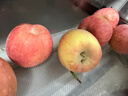 京鲜生 烟台红富士苹果 净重10斤 单果190g以上 生鲜水果 礼盒装 实拍图