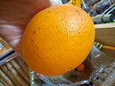 农夫山泉 17.5° 橙 赣南地区脐橙 净重10斤 铂金果 生鲜水果橙子年货礼盒 实拍图
