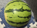 京鲜生 无籽麒麟西瓜 1粒装 单果5-7斤 生鲜水果 实拍图