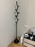 新房子意式轻奢衣帽架落地卧室床边个性放衣服收纳架子简易家用挂衣架 橄榄树款：素雅黑（实心底座） 实拍图