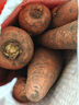 京喜加新鲜现挖现发胡萝卜农家自种蔬菜水果沙地红萝卜 带泥胡萝卜5斤 含箱 实拍图