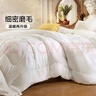 富安娜 舒暖纤维被 四季被子 双人春秋被芯空调被褥 4.5斤 203*229cm 白 实拍图