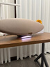 宝华韦健Zeppelin Pro【国家补贴】齐柏林飞艇第6代B&W无线HIFI蓝牙音箱智能音响圣诞礼物 晨曦金 实拍图