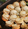 初鲜大号冷冻带黄扇贝肉净重2斤约80-120颗烧烤火锅食材海鲜水产送礼 实拍图