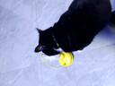 HELLOJOY猫玩具猫咪逗猫棒不倒翁猫薄荷球自嗨解闷神器猫猫小猫幼猫宠物 实拍图