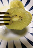 佳沛（zespri）新西兰阳光金奇异果 8个装 特大果单果重约122-146g 水果猕猴桃 实拍图
