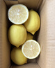 京鲜生 安岳黄柠檬16粒 单果95g-120g 生鲜水果 实拍图