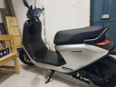 九号（Ninebot）电动摩托车N3 85c 智能智驾 长续航电摩【门店自提】 颜色可到门店选 实拍图