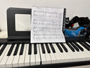 特伦斯电子琴88键成人儿童智能折叠钢琴X61A/V20手卷钢琴键盘乐器 61键折叠琴【无琴包】 实拍图