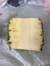 广东香水菠萝 徐闻菠萝 新鲜水果非凤梨现采现摘整箱包邮 【1个装】净重1.3斤-1.5斤 实拍图