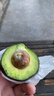 京鲜生 牛油果先生智利即食牛油果 4粒超大果 单果160g起 源头直发包邮 实拍图