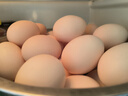 温氏供港L级大码鲜鸡蛋30枚/3.6斤 谷物喂养 无抗生素 生鲜早餐食材 实拍图