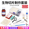 君利来生物切片标本制作工具 显微镜载玻片盖玻片碘液 生物实验器材套装 中考初中生物实验器材全套 切片制作工具(套装三) 实拍图