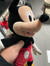 迪士尼（Disney）经典米奇米妮毛绒玩偶玩具大号公仔抱枕娃娃儿童女生生日情侣礼物 米奇红色中号 实拍图