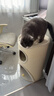 兽牌树洞剑麻桶猫窝猫抓板一体剑麻猫爬架双层大猫屋半封闭式冬季保暖 燕麦奶白丨三层剑麻桶 实拍图