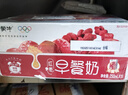 蒙牛早餐奶红枣味牛奶 250ml*16盒 送礼盒装新老包装交替 实拍图